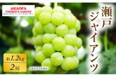 ぶどう 2025年 先行予約 瀬戸ジャイアンツ 約1.2kg 2房 葡萄 岡山県 赤磐市産 フルーツ 果物 あかいわファーマーズガーデン
