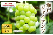 ぶどう 2025年 先行予約 瀬戸ジャイアンツ 約600g 1房 葡萄 岡山県 赤磐市産 フルーツ 果物 あかいわファーマーズガーデン