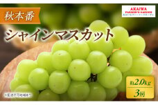 ぶどう 2025年 先行予約 シャインマスカット 約2.0kg 3房 秋本番 葡萄 岡山県 赤磐市産 フルーツ 果物