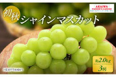ぶどう 2025年 先行予約 シャインマスカット 約2.0kg 3房 初秋 葡萄 岡山県 赤磐市産 フルーツ 果物 あかいわファーマーズガーデン