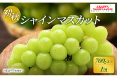 ぶどう 2025年 先行予約 シャインマスカット 700g以上 1房 初秋 葡萄 岡山県 赤磐市産 フルーツ 果物 あかいわファーマーズガーデン
