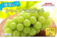 ぶどう 2025年 先行予約 シャインマスカット 約1.5kg 2房 盛夏 葡萄 岡山県 赤磐市産 フルーツ 果物 あかいわファーマーズガーデン