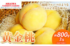 桃 2025年 先行予約 黄金桃 約800g 3玉 もも 岡山県 赤磐市産 フルーツ 果物 あかいわファーマーズガーデン