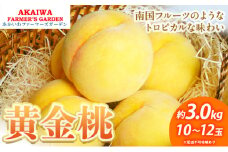 桃 2025年 先行予約 黄金桃 約3.0kg 10～12玉 もも 岡山県 赤磐市産 フルーツ 果物 あかいわファーマーズガーデン