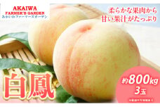 桃 2025年 先行予約 白桃 白鳳 約800g 3玉 もも 岡山県 赤磐市産 フルーツ 果物 あかいわファーマーズガーデン