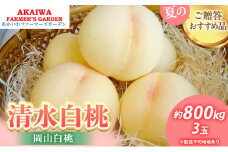 桃 2025年 先行予約 清水 白桃 約800g 3玉  もも 岡山県 赤磐市産 フルーツ 果物 あかいわファーマーズガーデン
