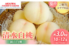 桃 2025年 先行予約 清水 白桃 約3.0kg 10～12玉  もも 岡山県 赤磐市産 フルーツ 果物 あかいわファーマーズガーデン