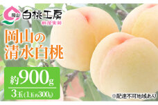 桃 2025年 先行予約 清水 白桃 3玉 合計約900g （1玉約300g） もも モモ 岡山 国産 フルーツ 果物 ギフト 桃茂実苑 