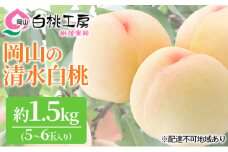 桃 2025年 先行予約 清水 白桃 1.5kg 5～6玉 もも モモ 岡山 国産 フルーツ 果物 ギフト 桃茂実苑 