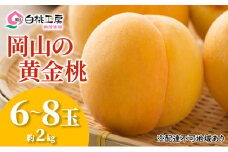 桃 2025年 先行予約 黄金桃 2kg 6～8玉 もも モモ 岡山 国産 フルーツ 果物 ギフト 桃茂実苑 