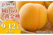 桃 2025年 先行予約 黄金 桃 3kg 9～12玉 もも モモ 岡山 国産 フルーツ 果物 ギフト 桃茂実苑 