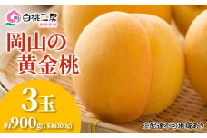 桃 2025年 先行予約 黄金桃 3玉 合計約900g （1玉約300g） もも モモ 岡山 国産 フルーツ 果物 ギフト 桃茂実苑 