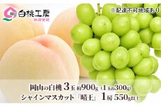 桃 ぶどう 2025年 先行予約 白桃 3玉 合計約900g （1玉約300g） シャインマスカット 晴王 1房 550g以上 もも 葡萄 詰合せ 岡山 国産 フルーツ 果物 ギフト 桃茂実苑 