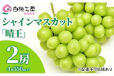 ぶどう 2025年 先行予約 シャイン マスカット 晴王  2房 （1房550g以上） マスカット ブドウ 葡萄  岡山県産 国産 フルーツ 果物 ギフト桃茂実苑 