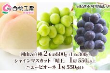 桃 ぶどう 2025年 先行予約 白桃 2玉 合計約600g （1玉約300g） シャインマスカット 晴王  1房 550g以上 もも 葡萄 詰合せ 岡山 国産 フルーツ 果物 ギフト 桃茂実苑 
