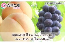 桃 ぶどう 2025年 先行予約 白桃 5玉 合計約1.5kg （1玉 約300g） ニュー ピオーネ 1房 550g もも 葡萄 詰合せ 岡山 国産 フルーツ 果物 ギフト 桃茂実苑 