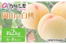 桃 2025年 先行予約 白桃 2kg 6～8玉 もも モモ 岡山 国産 フルーツ 果物 ギフト 桃茂実苑 