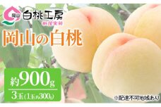 桃 2025年 先行予約 白桃 3玉 合計約900g （1玉約300g） もも モモ 岡山 国産 フルーツ 果物 ギフト 桃茂実苑 