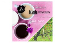 自家焙煎 コーヒー 桃仙ブレンド 500g【細挽き】 トーアコーヒー商会 ブレンドコーヒー 焙煎 珈琲 飲料類