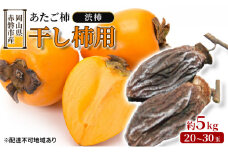 柿 2024年 先行予約 あたご柿（渋柿）干し柿用 約5kg（20～30玉）岡山県赤磐市産【配達不可：離島】