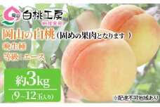 固めの 桃 2025年 先行予約 白桃 晩生種 3kg 9～12玉 もも モモ 岡山 国産 フルーツ 果物 ギフト 桃茂実苑 