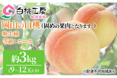 固めの 桃 2025年 先行予約 白桃 晩生種 3kg 9～12玉 もも モモ 岡山 国産 フルーツ 果物 ギフト 桃茂実苑 