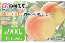 固めの 桃 2025年 先行予約 白桃 晩生種 3玉 合計約900g （1玉約300g） もも モモ 岡山 国産 フルーツ 果物 ギフト 桃茂実苑 