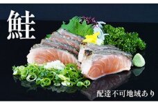 【 すえひら 】 鮭 （ さけ ）の たたき 5人前 セット