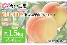 固めの 桃 2025年 先行予約 白桃 晩生種 1.5kg 5～6玉 もも モモ 岡山 国産 フルーツ 果物 ギフト 桃茂実苑 