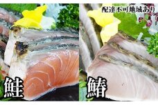 【 すえひら 】 よくばり 5人前 セット ( 岡山 名物 - 鰆 ( さわら ) の たたき 3人前＋ 鮭 ( さけ ) の たたき 2人前 ) 魚貝類 サーモン さわらのたたき さけのたたき サワラ