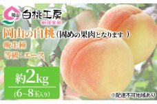 固めの 桃 2025年 先行予約 白桃 晩生種 2kg 6～8玉 もも モモ 岡山 国産 フルーツ 果物 ギフト 桃茂実苑 