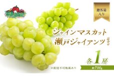 ぶどう2025年 先行予約 シャイン マスカット 1房 瀬戸ジャイアンツ 1房 各約700g 詰合せ 贈答箱 ブドウ 葡萄 フルーツ 果物 岡山 赤磐市産 農マル園芸 あかいわ農園