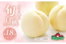 固めの 桃 2025年 先行予約 晩生の旬の 白桃 約1.8kg 5～7玉 進物用 もも モモ フルーツ 果物 岡山 赤磐市産 農マル園芸 あかいわ農園