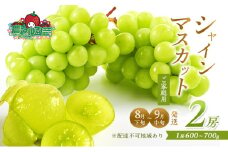 ぶどう 2025年 先行予約 ご家庭用 シャイン マスカット 2房 1房600g～700g 8月下旬～9月中旬発送分 ブドウ 葡萄 フルーツ 果物 岡山 赤磐市産 農マル園芸 あかいわ農園