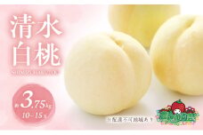 桃 2025年 先行予約 清水 白桃 約3.75kg 10～15玉 進物用 もも モモ フルーツ 果物 岡山 赤磐市産 農マル園芸 あかいわ農園
