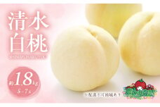 桃 2025年 先行予約 清水 白桃 約1.8kg  5～7玉 進物用 もも モモ フルーツ 果物 岡山 赤磐市産 農マル園芸 あかいわ農園