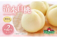 桃 2025年 先行予約 清水 白桃 約2kg 5～7玉 贈答用 もも モモ フルーツ 果物 岡山 赤磐市産 農マル園芸 あかいわ農園
