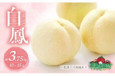 桃 2025年 先行予約 白桃 白鳳 約3.75kg 10～15玉 進物用 もも モモ フルーツ 果物 岡山 赤磐市産 農マル園芸 あかいわ農園