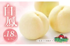 桃 2025年 先行予約 白桃 白鳳 約1.8kg 5～7玉 進物用 もも モモ フルーツ 果物 岡山 赤磐市産 農マル園芸 あかいわ農園