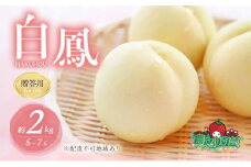 桃 2025年 先行予約 白桃 白鳳 約2kg 5～7玉 贈答用 もも モモ フルーツ 果物 岡山 赤磐市産 農マル園芸 あかいわ農園