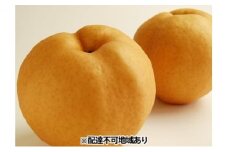 梨 早期受付 岡山 の あたご 梨 3～8玉 合計2kg以上 なし ナシ  岡山県産 国産 フルーツ 果物 ギフト桃茂実苑