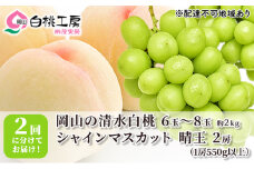 桃 ぶどう 2025年 先行予約 清水 白桃 2kg シャインマスカット 晴王 2房 1房550g以上 2回に分けてお届け！もも 葡萄 定期便 岡山 国産 フルーツ 果物 ギフト 桃茂実苑 