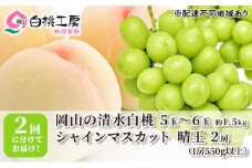 桃 ぶどう 2025年 先行予約 清水 白桃 1.5kg シャインマスカット 晴王 2房 1房550g以上 2回に分けてお届け！ もも 葡萄 定期便 岡山 国産 フルーツ 果物 ギフト 桃茂実苑 
