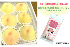 桃 2025年 先行予約 岡山 赤磐産 白桃 6玉（約1.5kg）＆ 白桃から生まれた除菌ウエットティッシュ（10枚入り）×10個