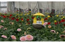 みのる産業 吸引式 LED 捕虫器 スマートキャッチャー
