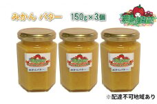 みかん バター 150g×3個 農マル園芸 あかいわ農園 乳製品 ミカン 蜜柑 果物 フルーツ