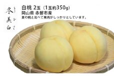桃 2025年 先行予約 白桃 冬美白 とうびはく 2玉 1玉約350g もも モモ 令和7年 岡山 赤磐市産 国産 フルーツ 果物 ギフト