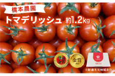 フルーツ トマト ［2026年先行予約］ トマデリッシュ 約1.2kg 橋本農園 岡山 野菜 高糖度 旨味 弾力 果実 甘い サラダ そのまま 岡山県産 緑黄色野菜