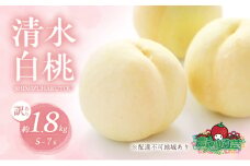 桃 2026年 先行予約 訳あり品 清水 白桃 約1.8kg 5～7玉 もも モモ フルーツ 果物 岡山 赤磐市産 農マル園芸 あかいわ農園 甘い 果肉 人気 