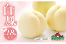 桃 2025年 先行予約 訳あり品 白桃 白鳳 約1.8kg 5～7玉 もも モモ フルーツ 果物 岡山 赤磐市産 農マル園芸 あかいわ農園
